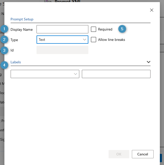 The prompt setup window